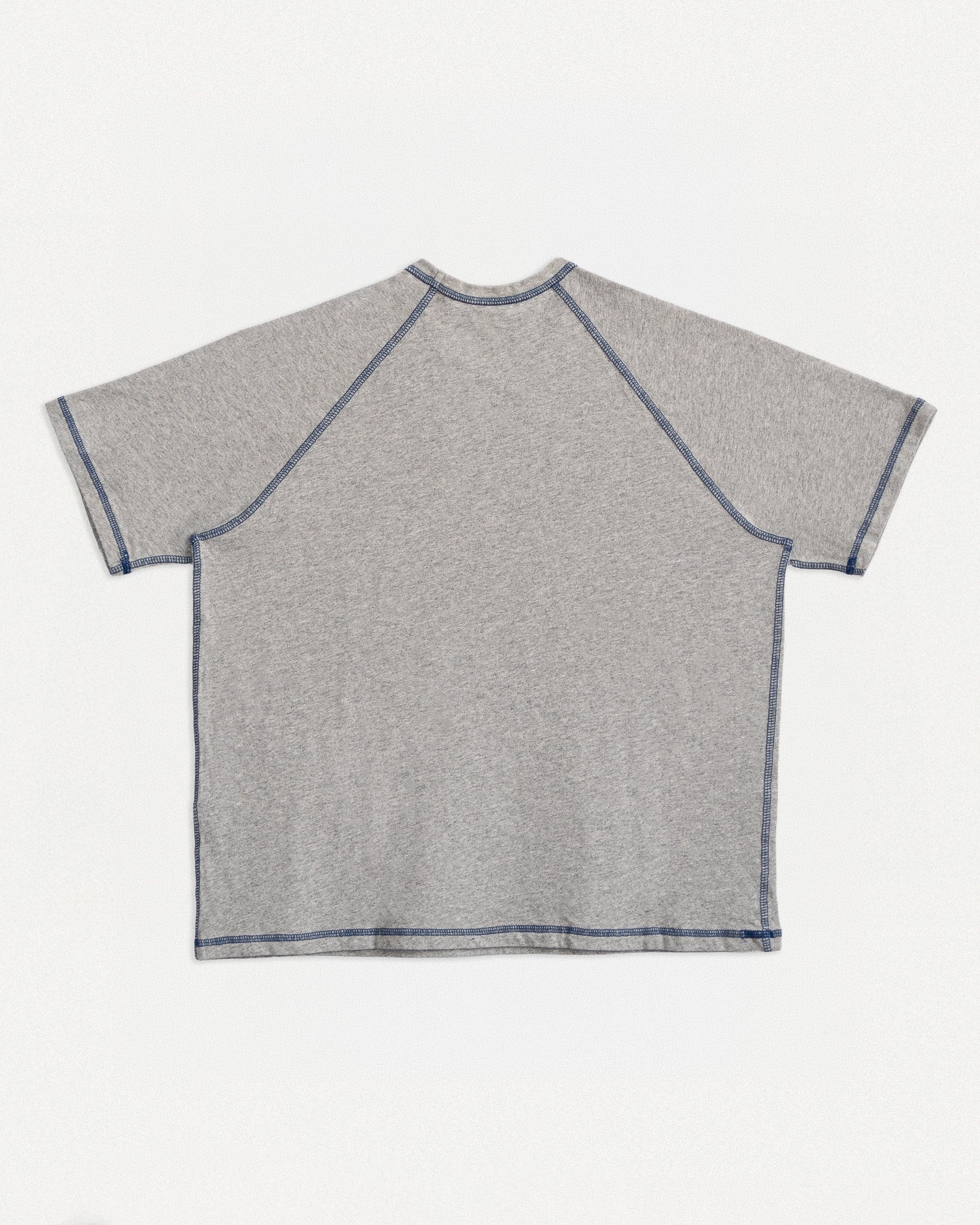 CREW RAGLAN SS - HEATHER / BLUE-2